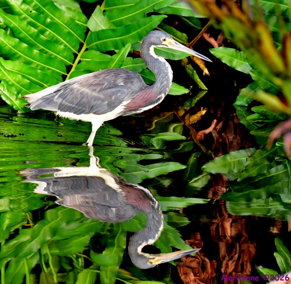 DSC_1845_001.JPG