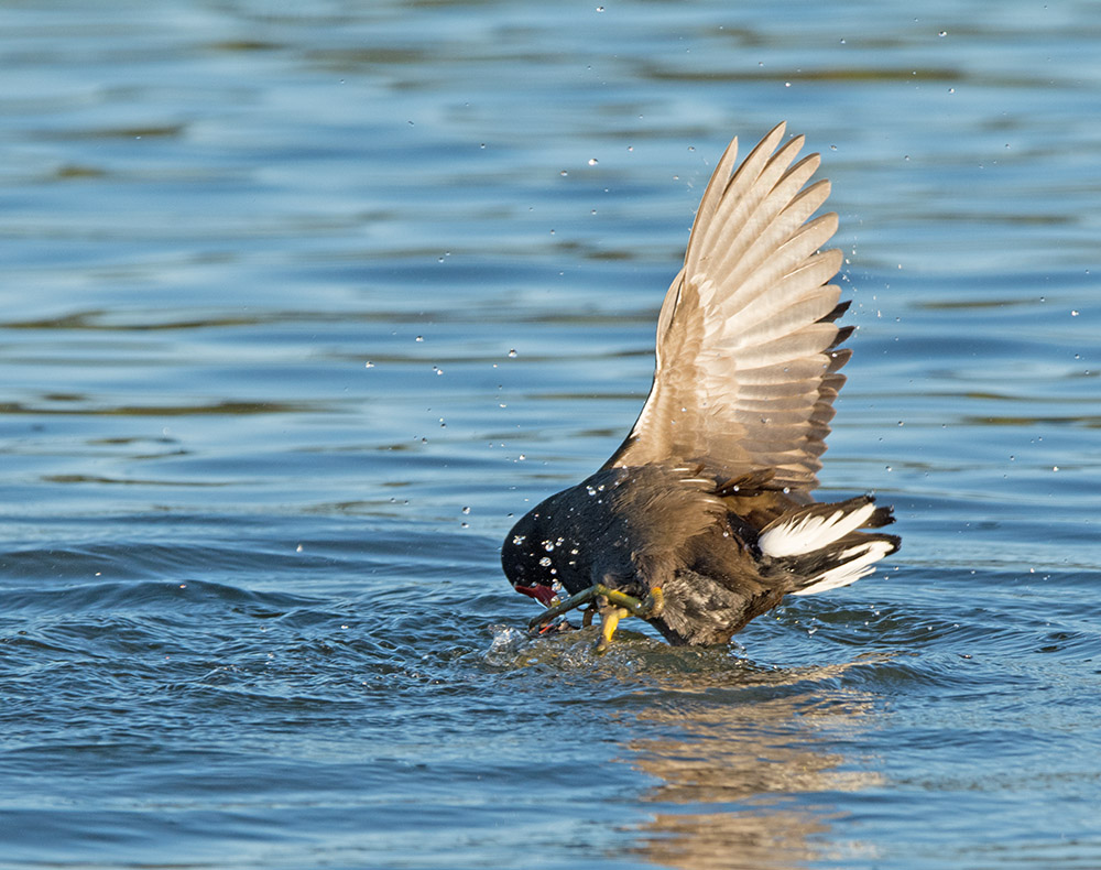 DSC_1846.jpg