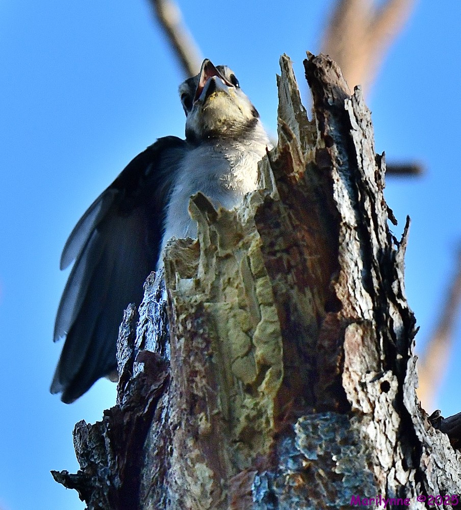 DSC_1847_001.JPG