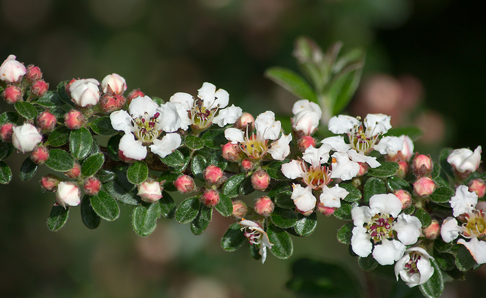 DSC_1848.jpg