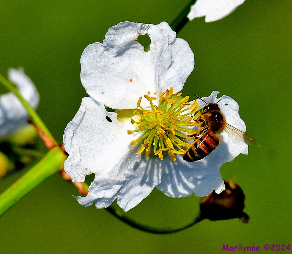 DSC_1848_001.JPG