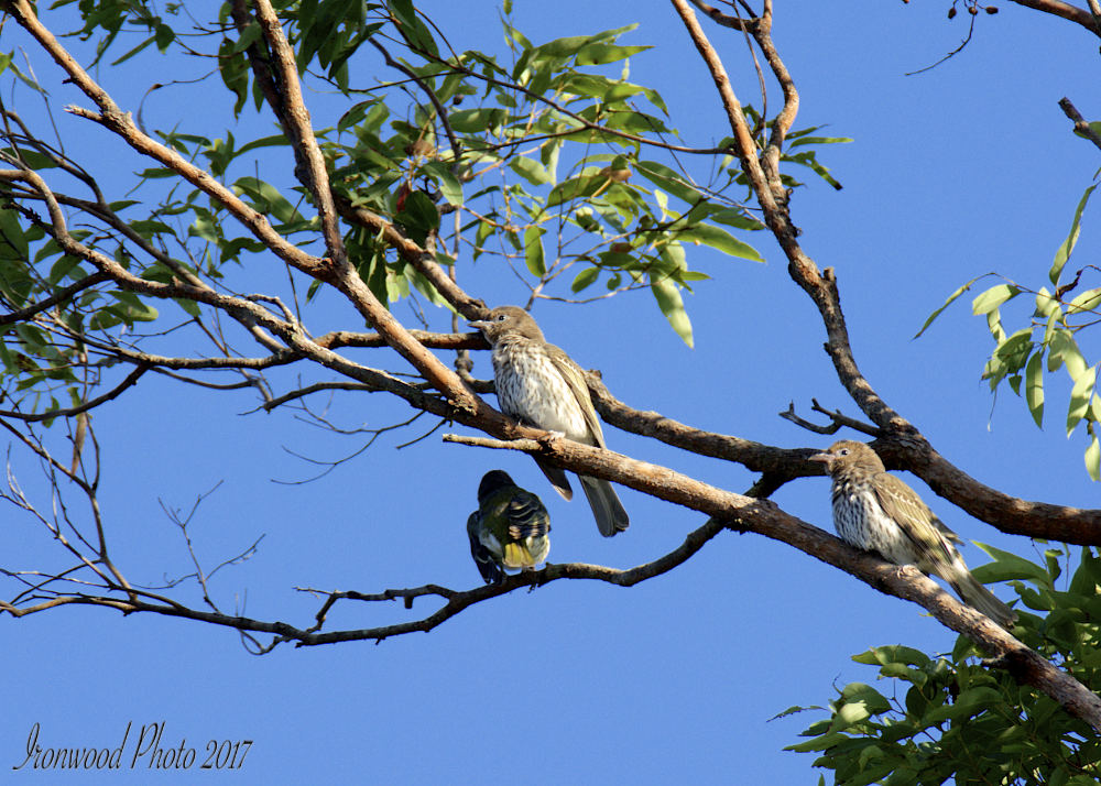 DSC_1850.jpg