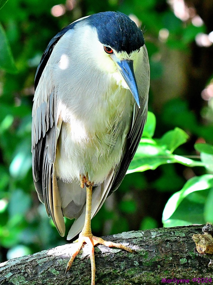 DSC_1851_001.JPG