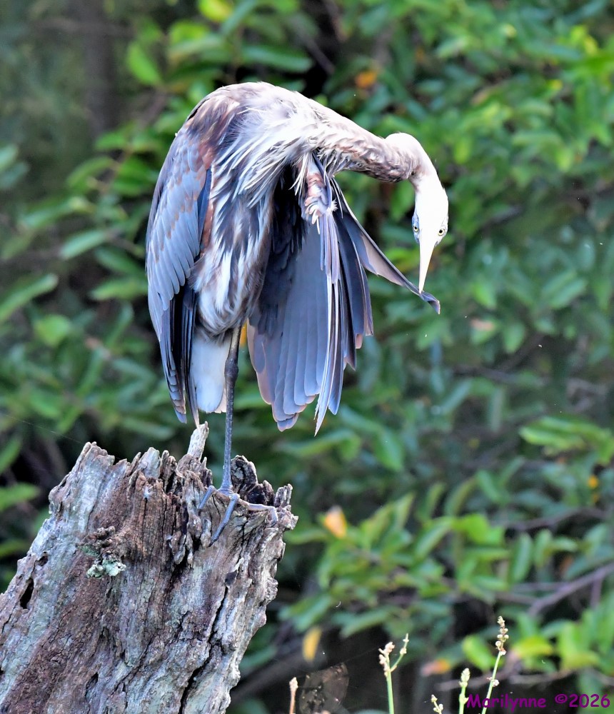 DSC_1854_001.JPG