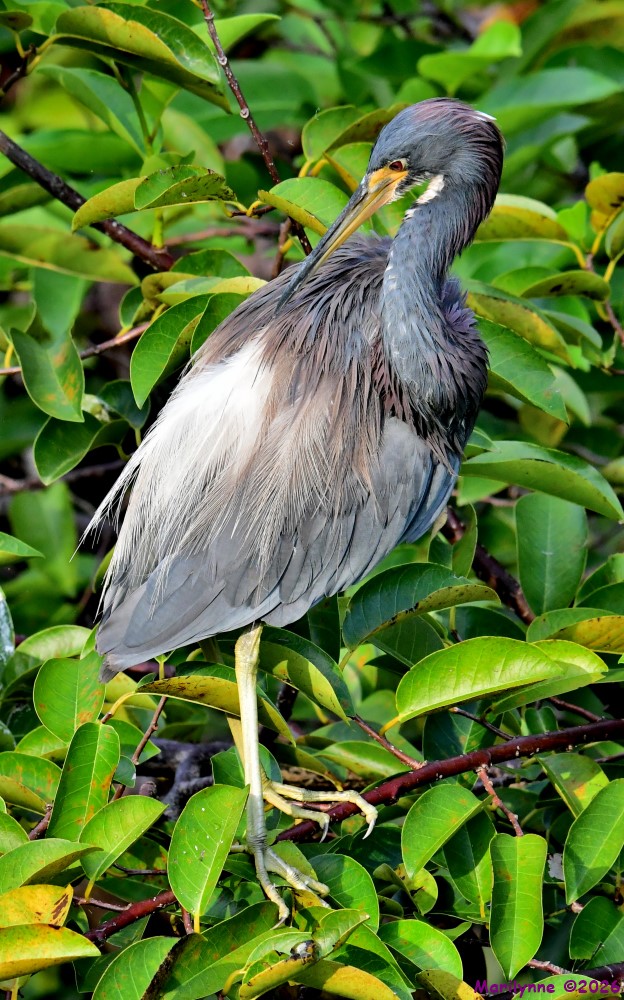DSC_1855_001.JPG