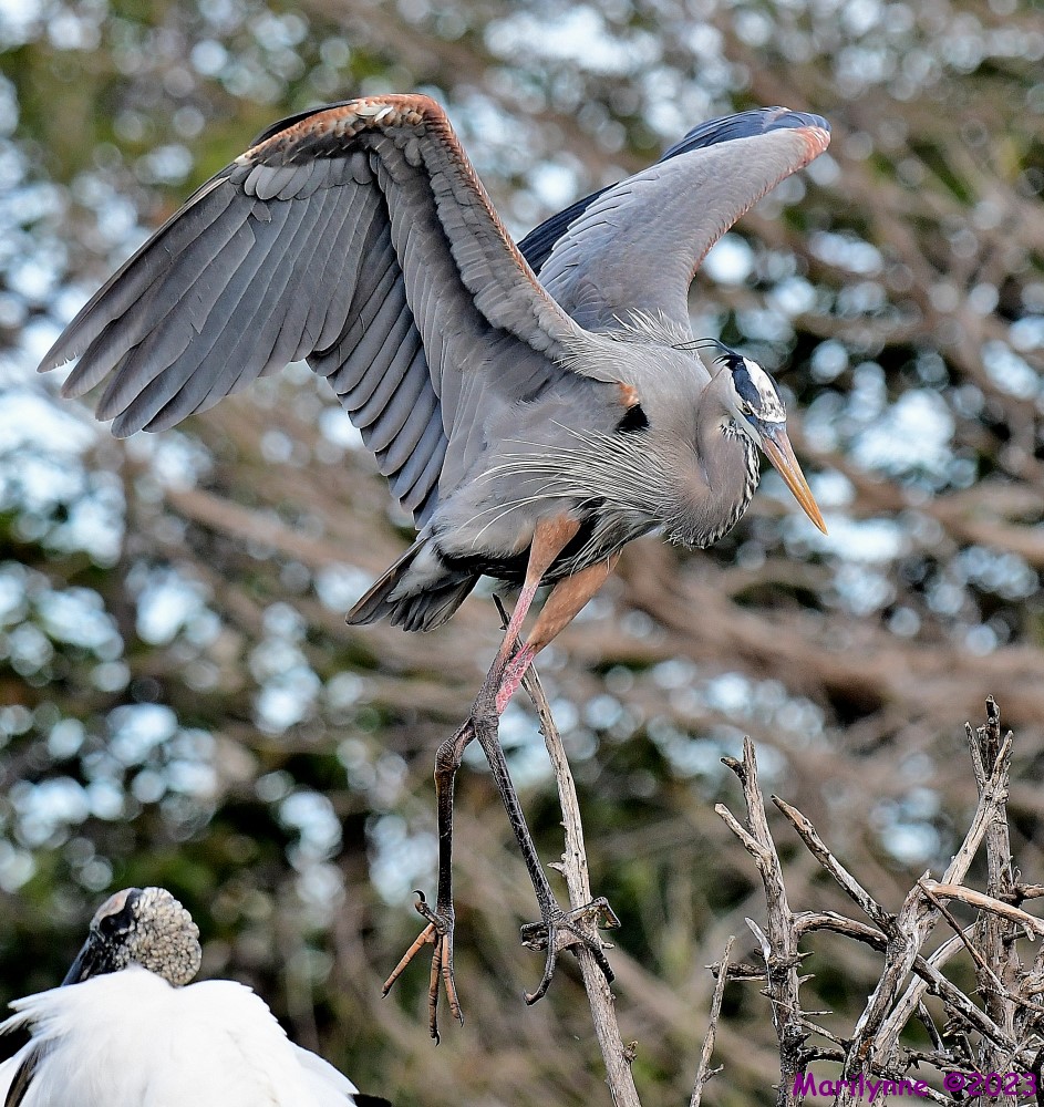 DSC_1856_001.JPG