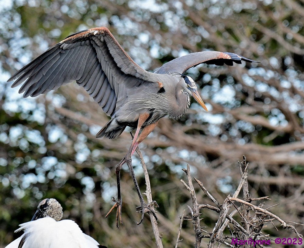 DSC_1857_001.JPG