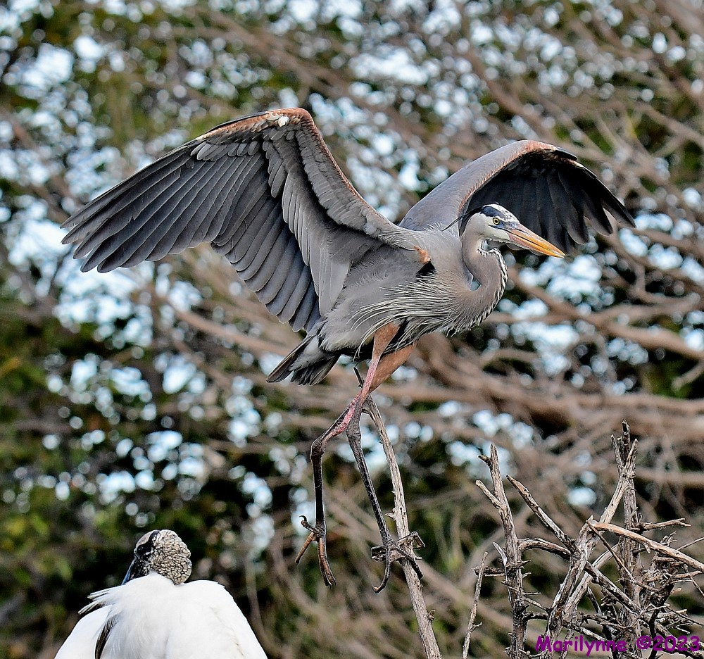 DSC_1858_001.JPG