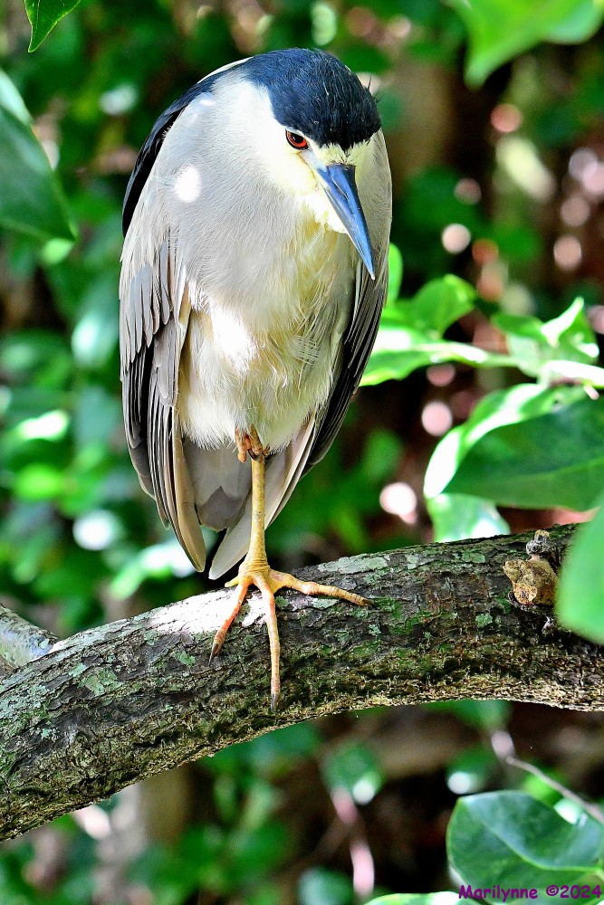 DSC_1858_001.JPG