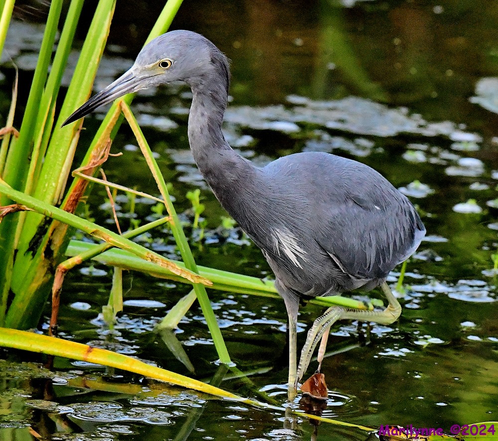 DSC_1858_001.JPG