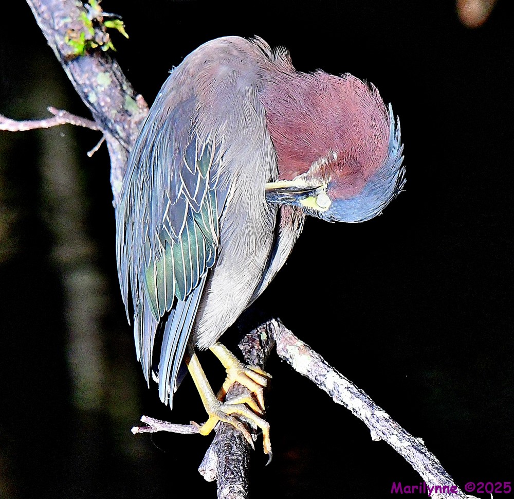DSC_1858_001.JPG