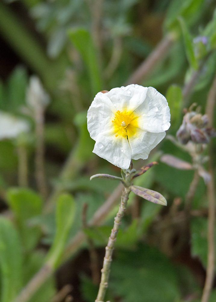 DSC_1859.jpg