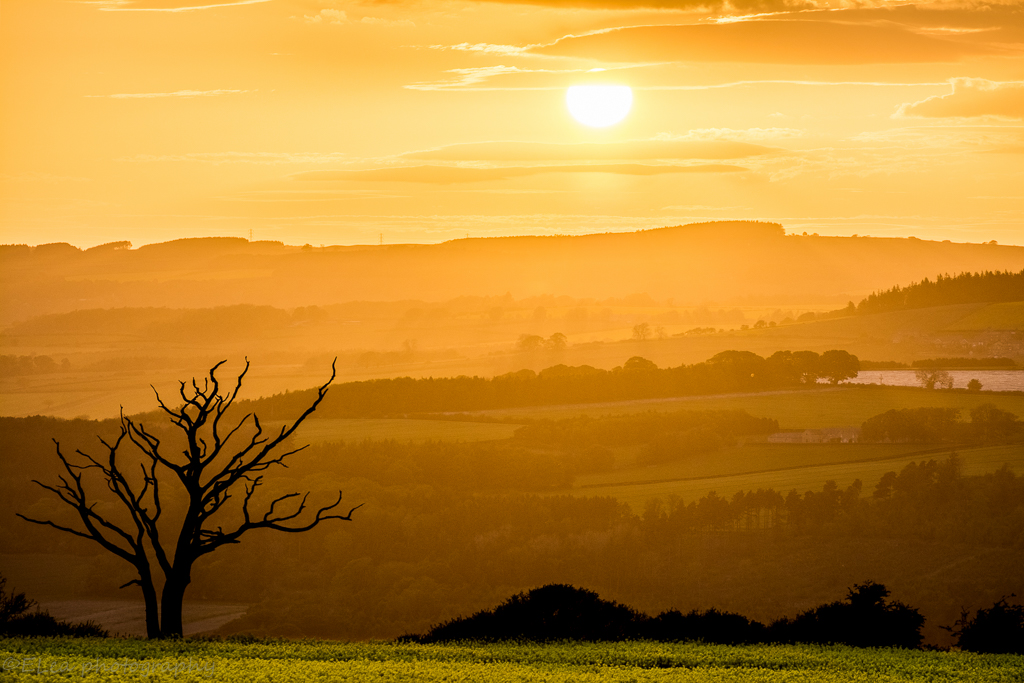 DSC_1861-HDR.jpg