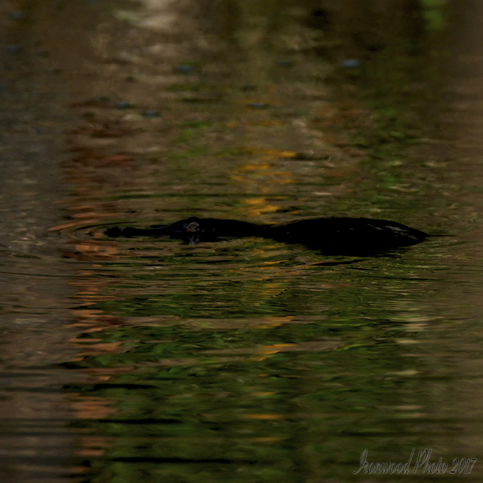 DSC_1861.jpg