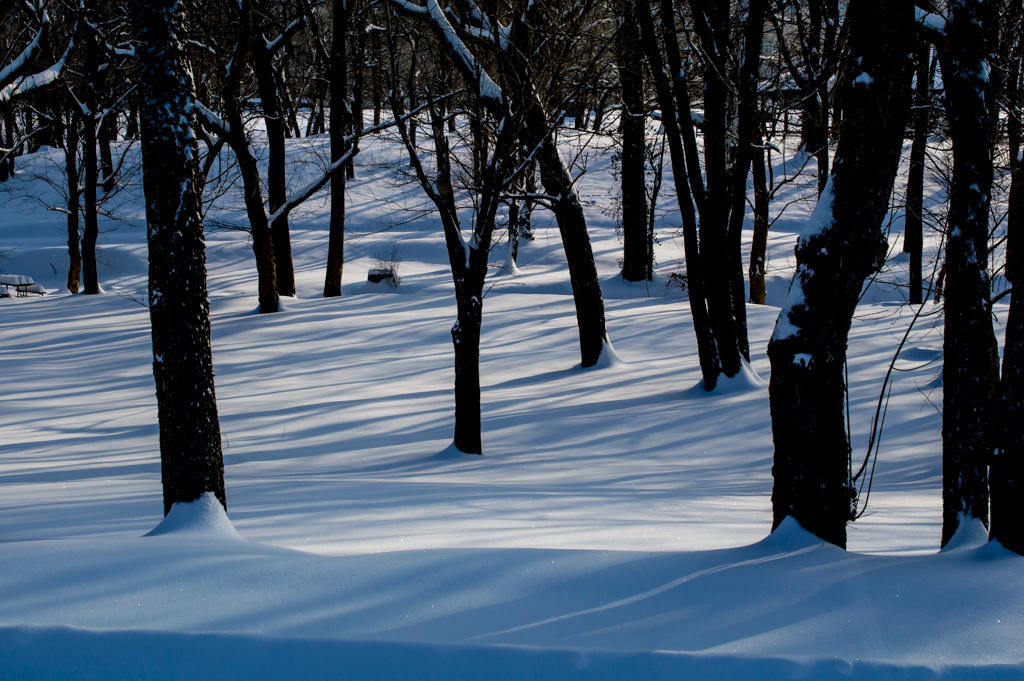 DSC_1864_150217_1024_001.jpg