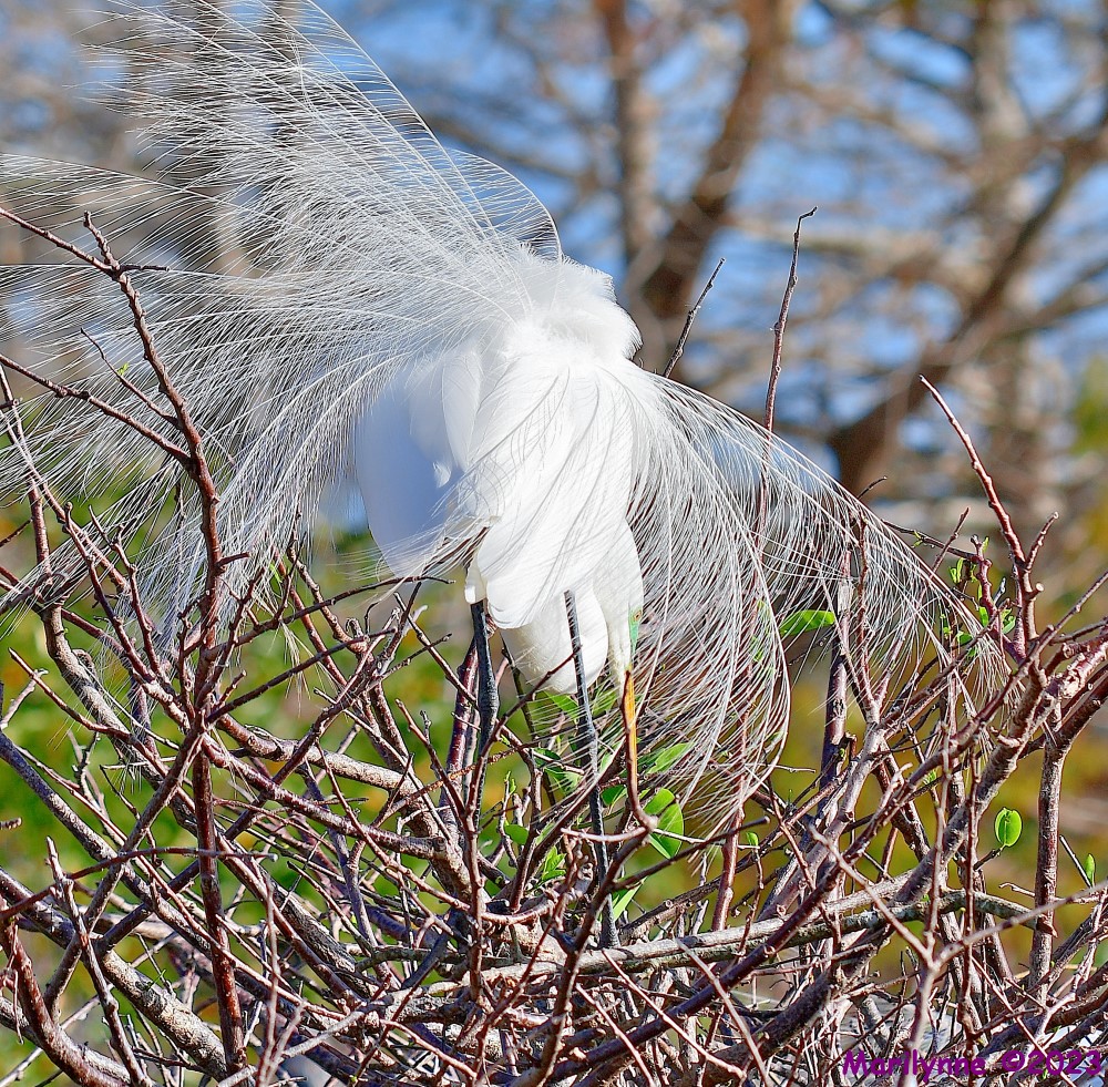 DSC_1873_001.JPG