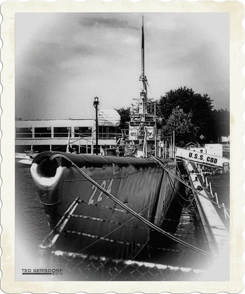 DSC_1874 BW.jpg