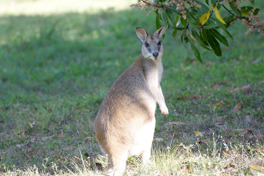 DSC_1876.jpg