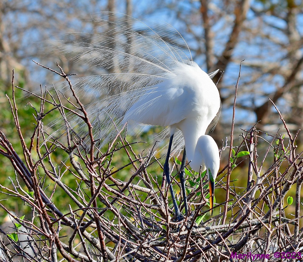 DSC_1879_001.JPG