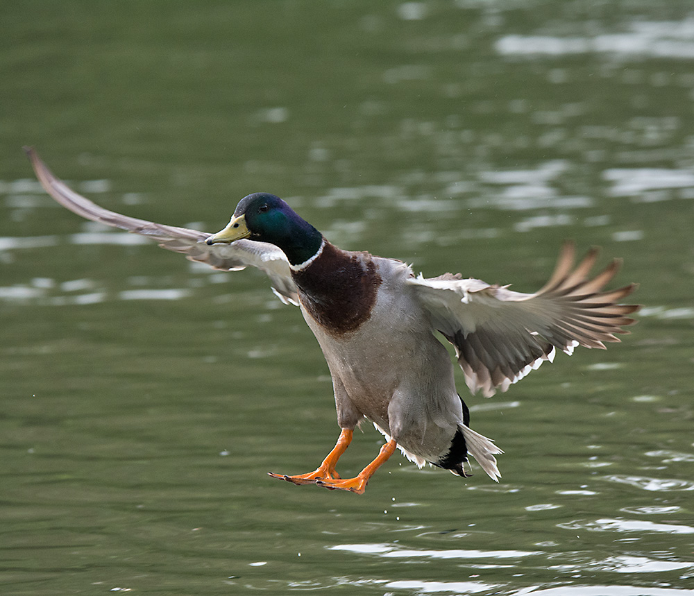 DSC_1881.jpg
