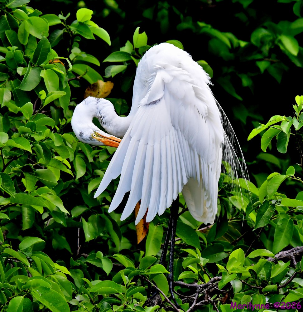 DSC_1882_001.JPG