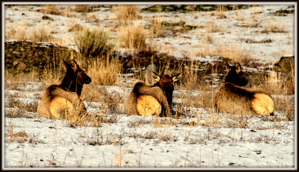 DSC_1883.jpg