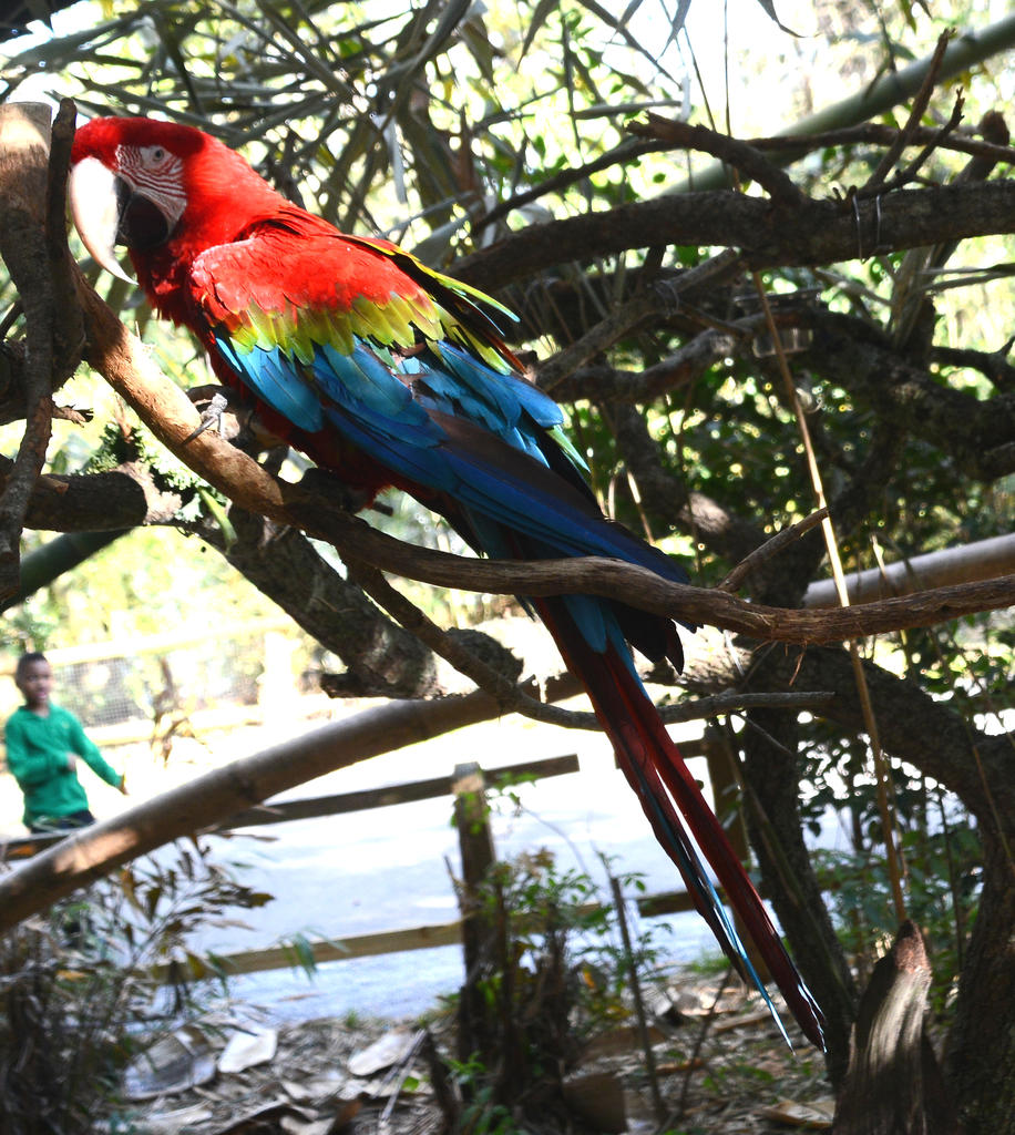 DSC_1884.jpg