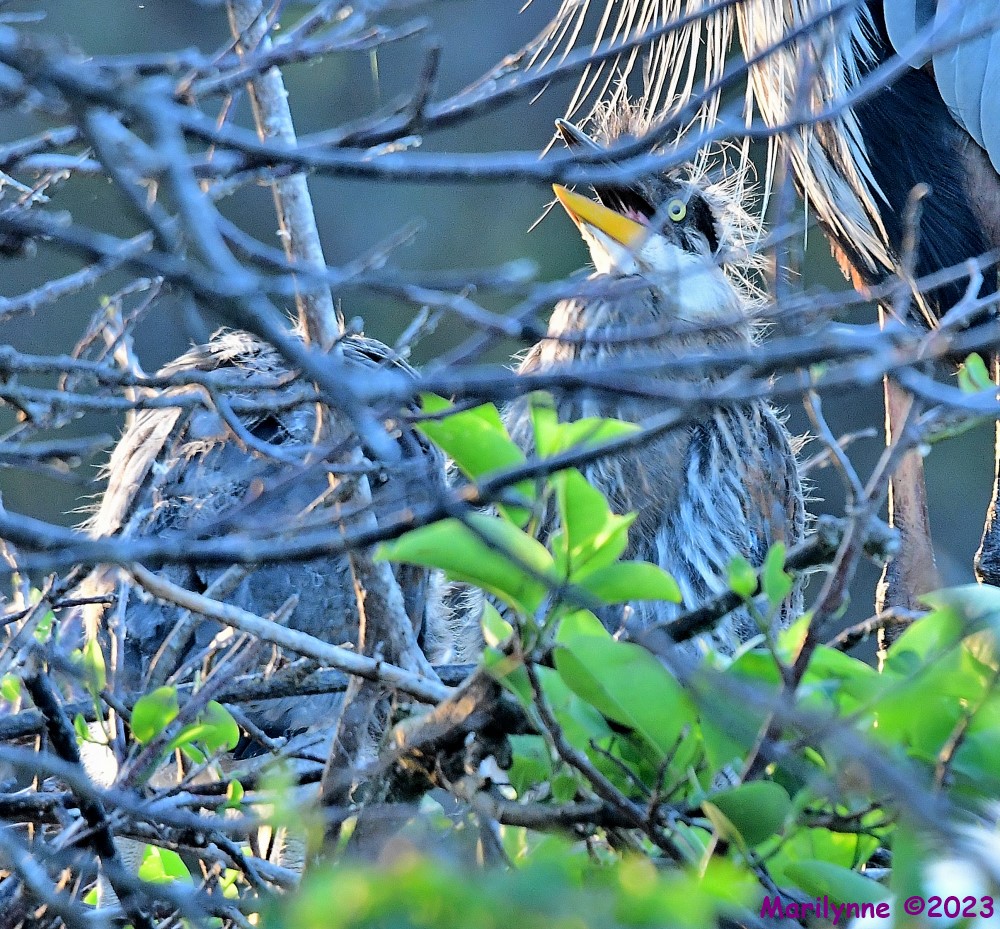 DSC_1884_001.JPG
