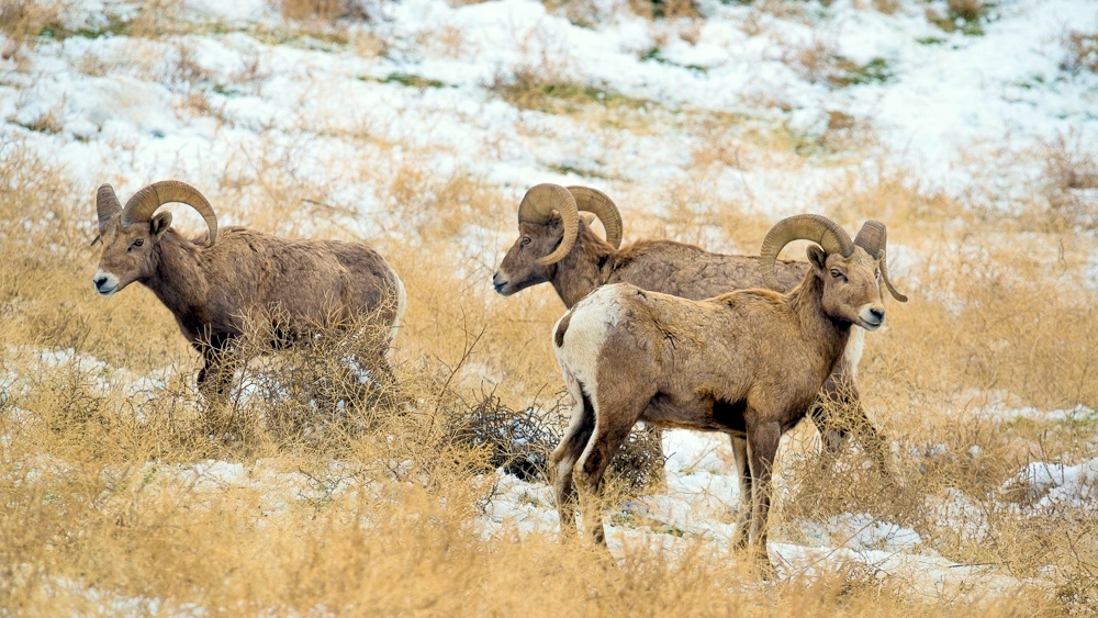 DSC_1885.jpg