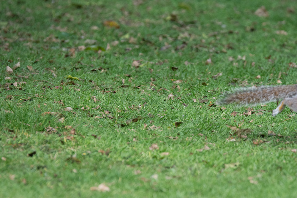 DSC_1886.jpg