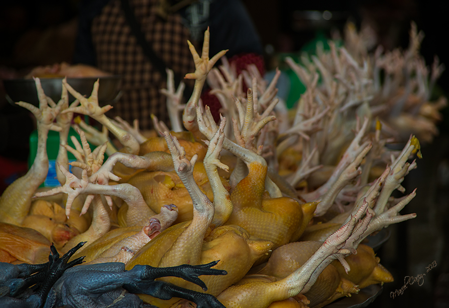 DSC_1887.jpg