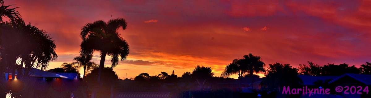 DSC_1888_stitch12_001.JPG