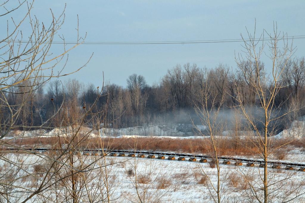 DSC_1890.jpg