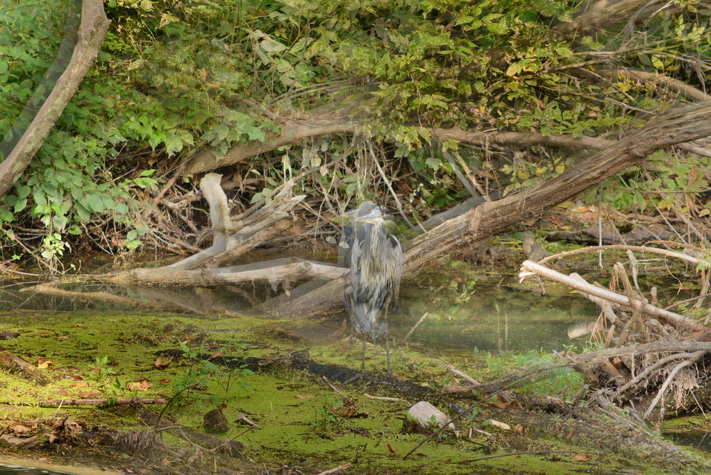 DSC_1892.jpg