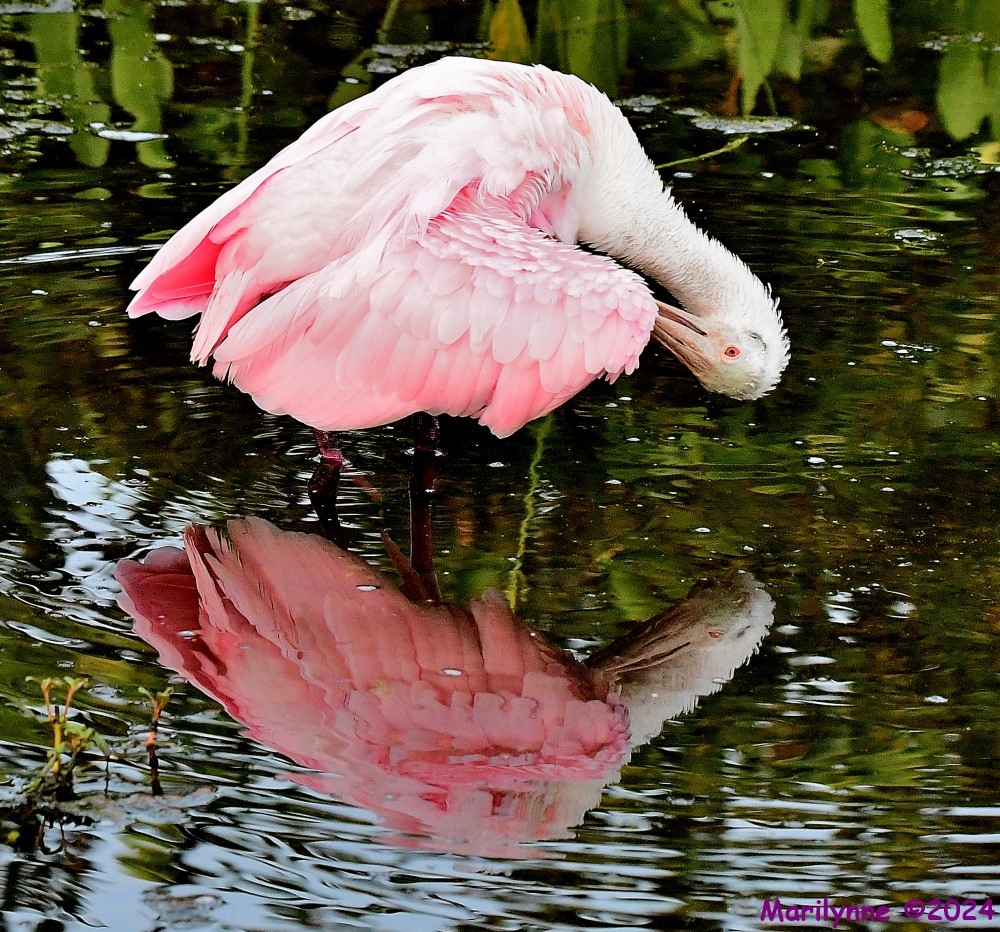 DSC_1892_001.JPG