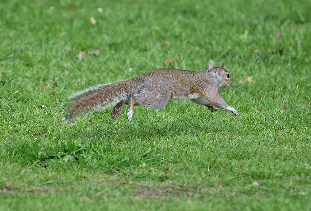 DSC_1895.jpg