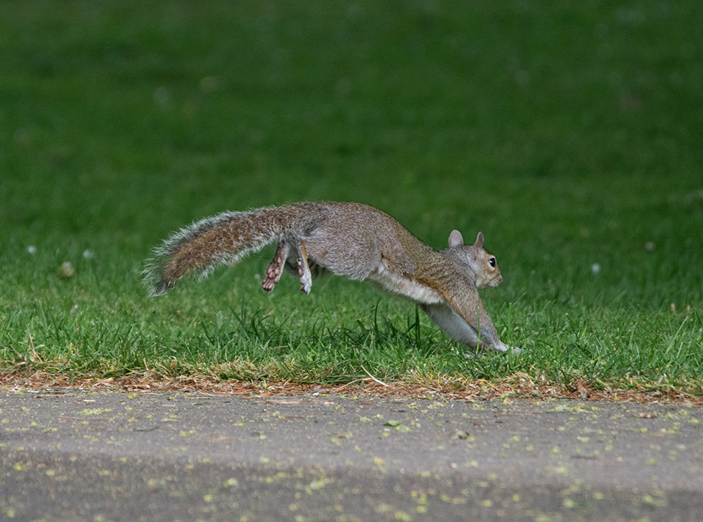 DSC_1902.jpg