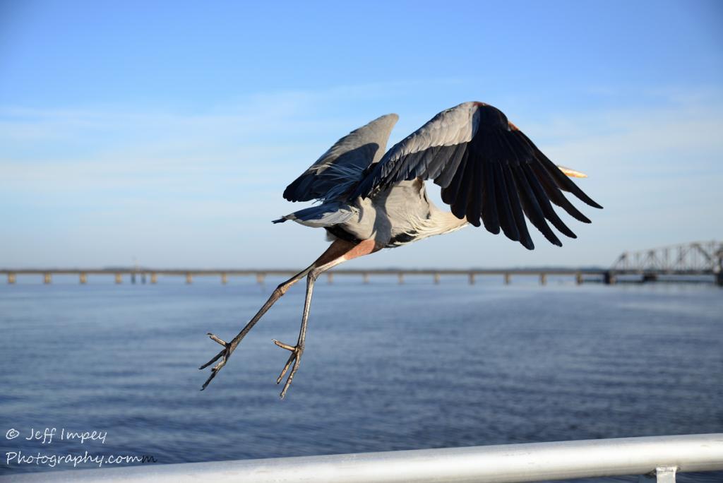 DSC_1906.jpg