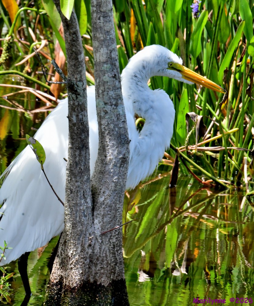 DSC_1907_001.JPG