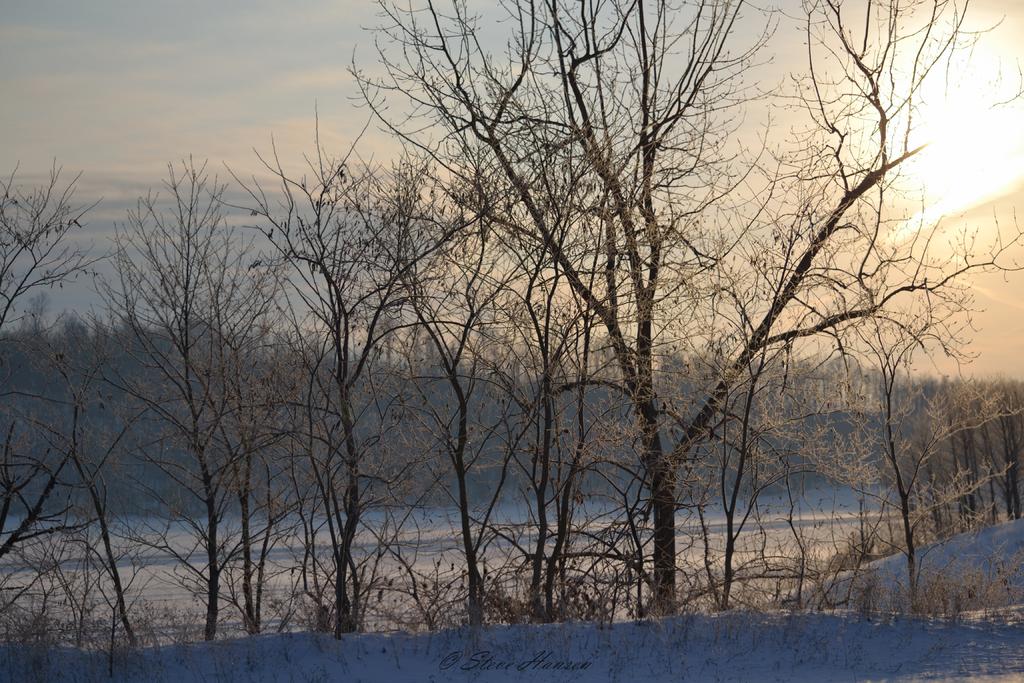 DSC_1908.jpg