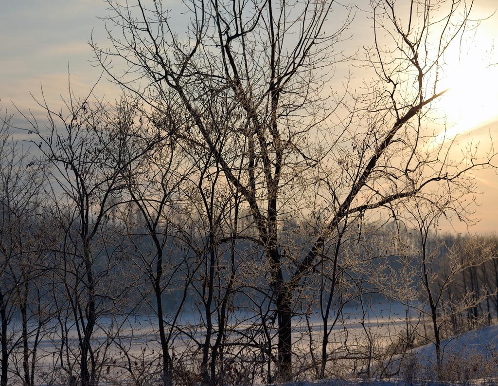 DSC_1908.jpg
