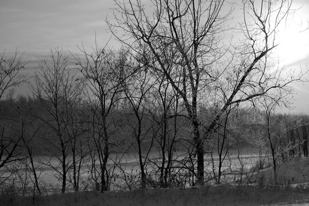 DSC_1908.jpg