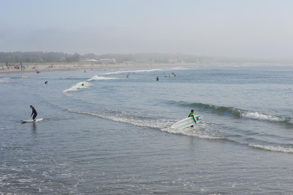 DSC_1910.jpg