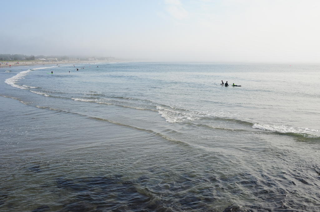 DSC_1912.jpg