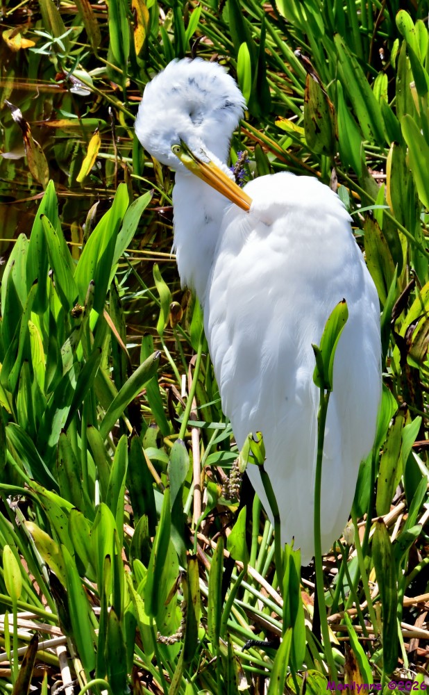 DSC_1913_001.JPG