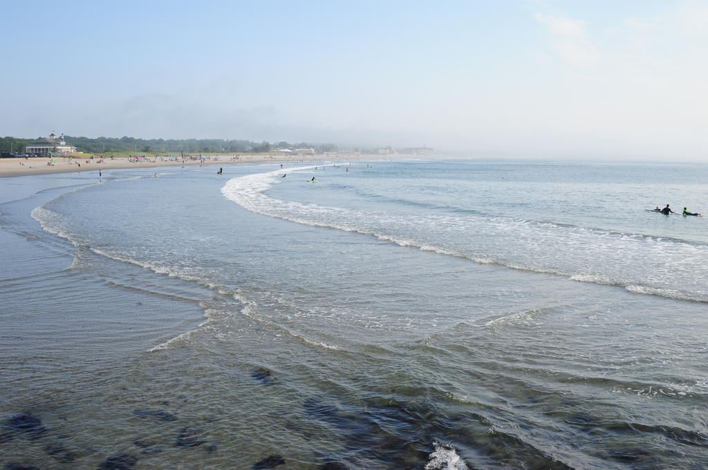 DSC_1917.jpg
