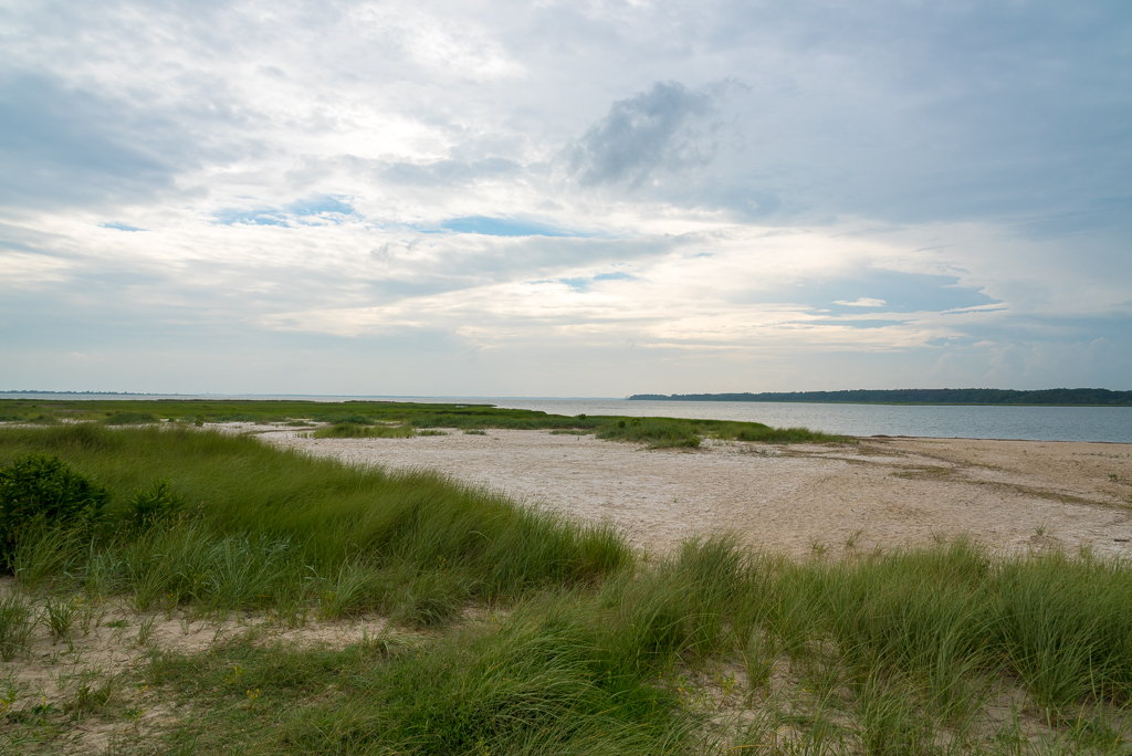 DSC_1925.jpg