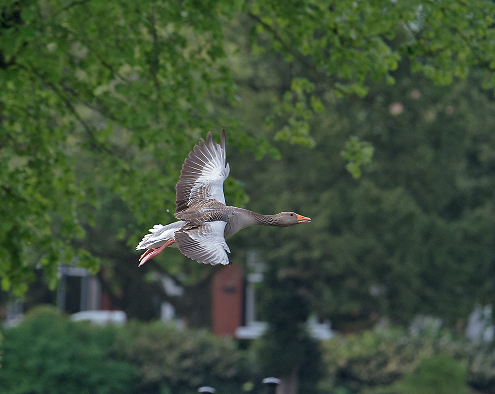 DSC_1926.jpg