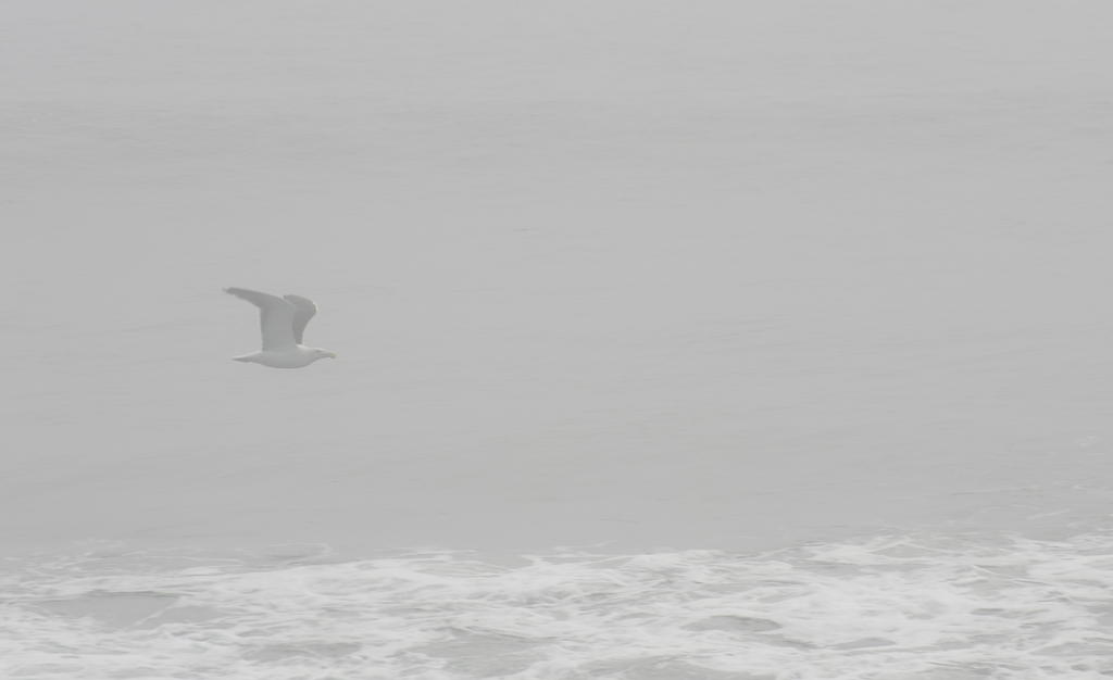 DSC_1934.jpg