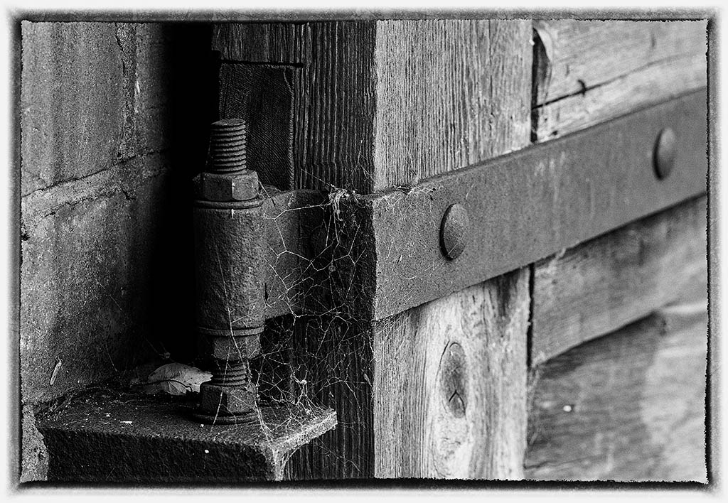 dsc_1934_35572260540_o.jpg